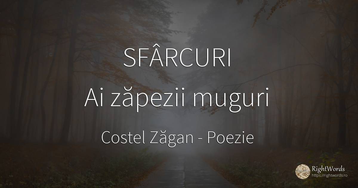 SFÂRCURI Ai zăpezii muguri - Costel Zăgan, citat despre poezie
