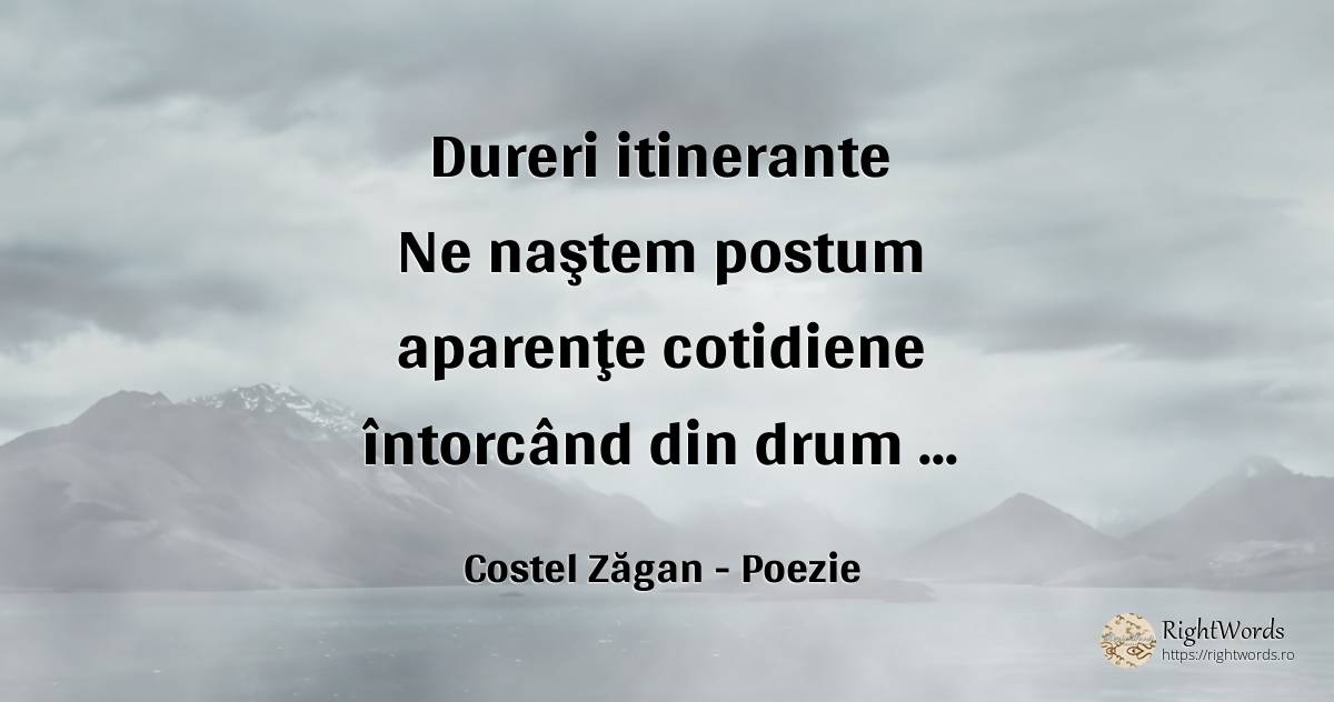 Dureri itinerante - Costel Zăgan, citat despre poezie, durere
