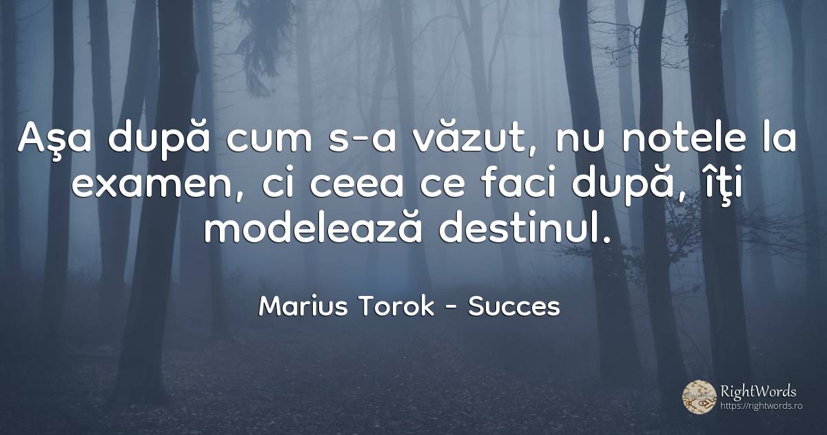 Aşa după cum s-a văzut, nu notele la examen, ci ceea ce... - Marius Torok (Darius Domcea), citat despre succes, destin