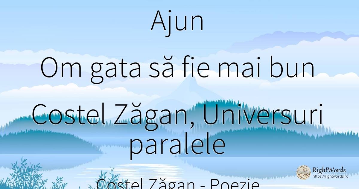 Ajun Om gata să fie mai bun Costel Zăgan, Universuri... - Costel Zăgan, citat despre poezie