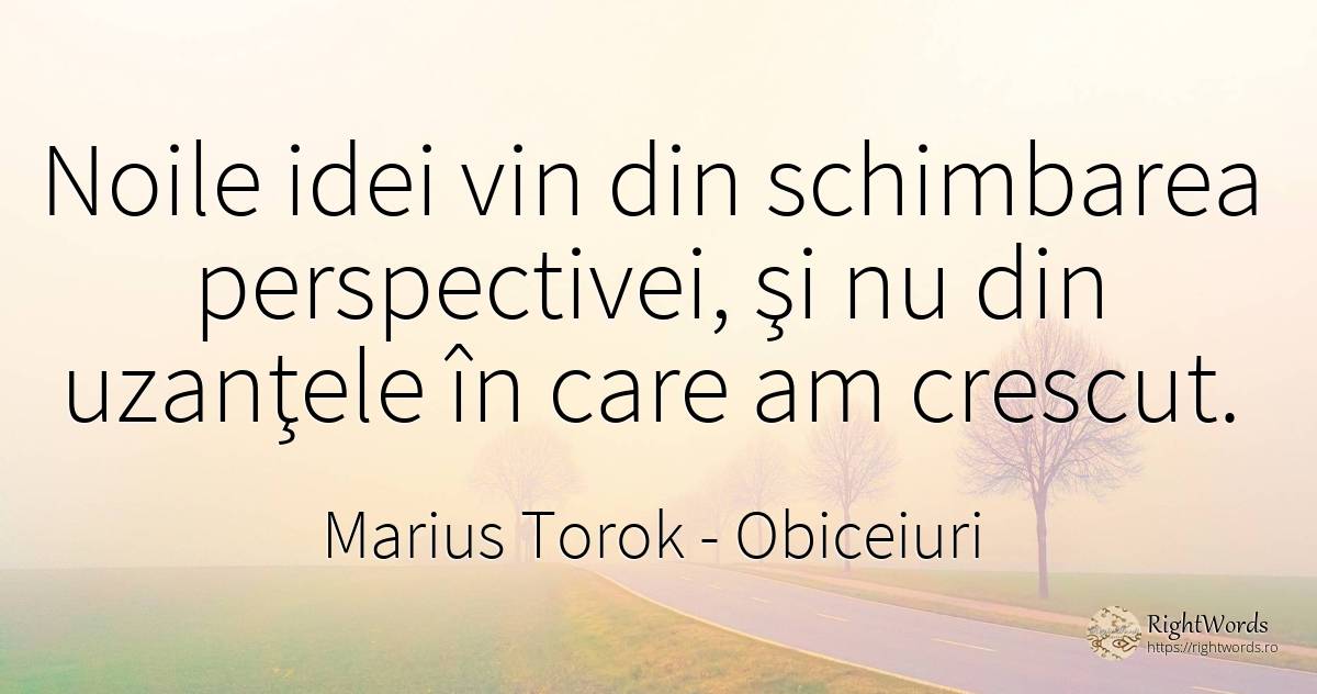 Noile idei vin din schimbarea perspectivei, şi nu din... - Marius Torok (Darius Domcea), citat despre obiceiuri, schimbare, vin