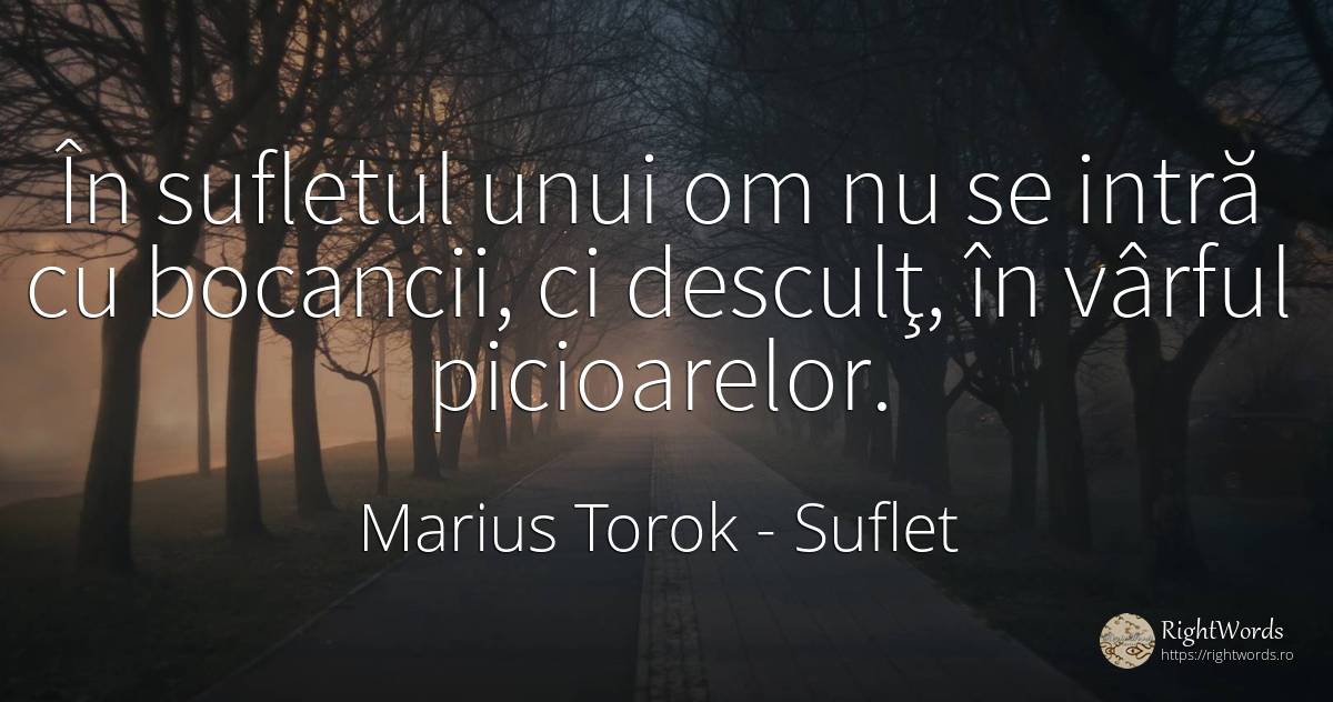 În sufletul unui om nu se intră cu bocancii, ci desculţ, ... - Marius Torok (Darius Domcea), citat despre suflet