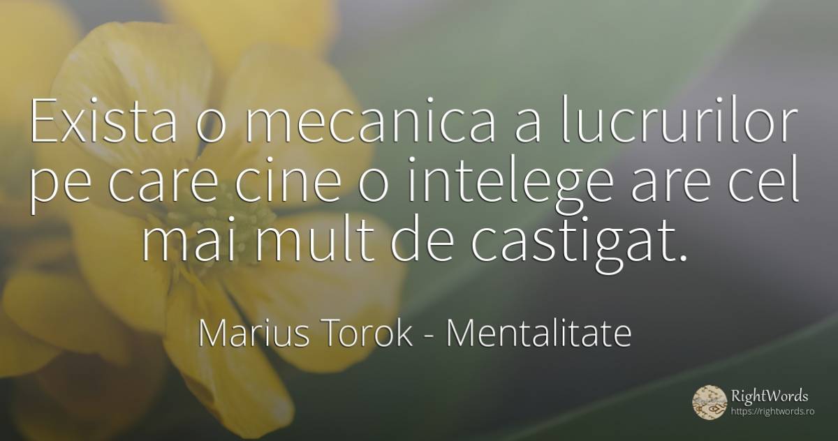 Exista o mecanica a lucrurilor pe care cine o intelege... - Marius Torok (Darius Domcea), citat despre mentalitate