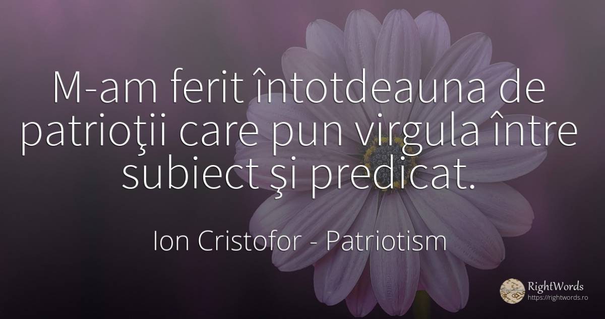 M-am ferit întotdeauna de patrioţii care pun virgula... - Ion Cristofor (Ioan Cristofor Filipas), citat despre patriotism