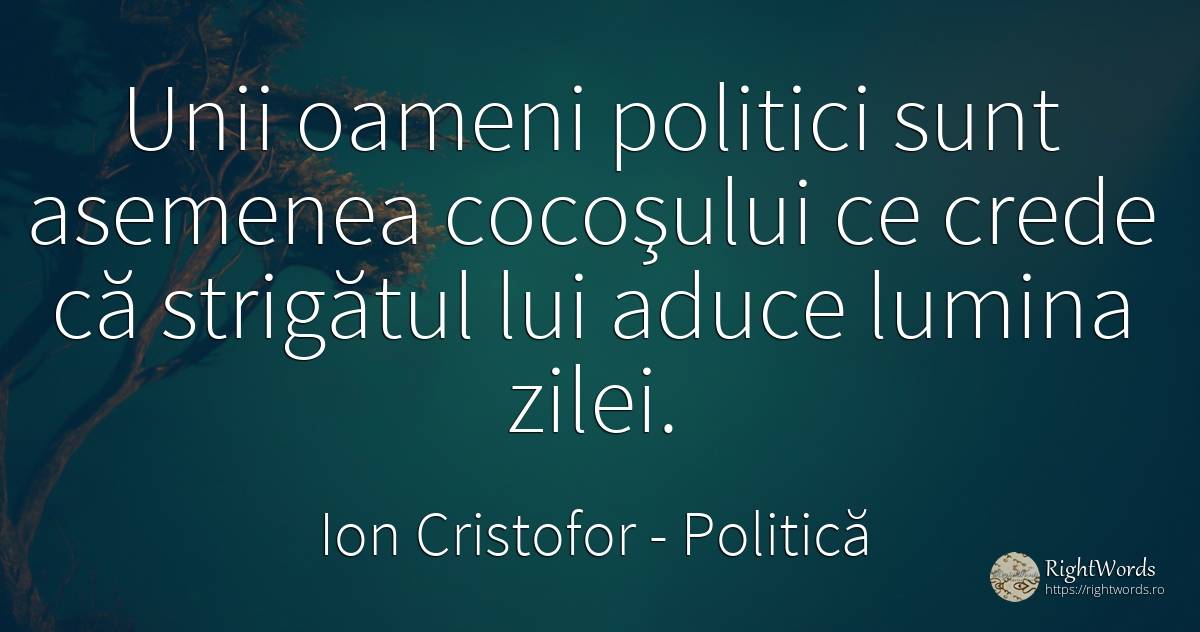 Unii oameni politici sunt asemenea cocoşului ce crede că... - Ion Cristofor (Ioan Cristofor Filipas), citat despre politică, lumină, oameni
