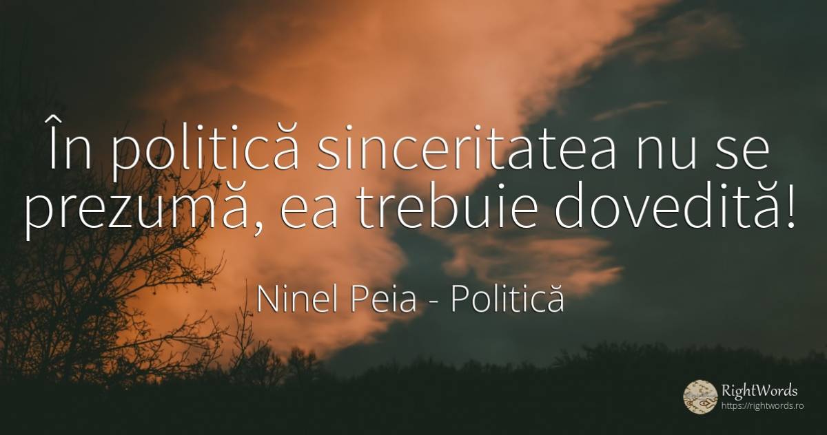 În politică sinceritatea nu se prezumă, ea trebuie dovedită! - Ninel Peia, citat despre sinceritate, politică