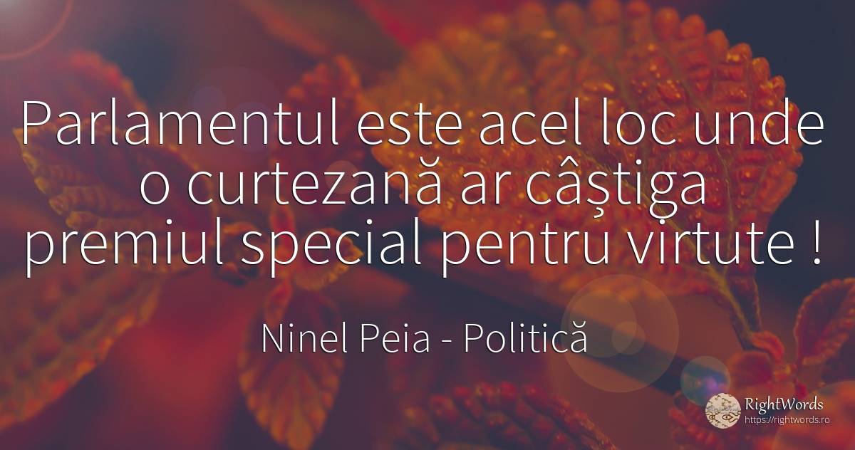 Parlamentul este acel loc unde o curtezană ar câștiga... - Ninel Peia, citat despre politică, virtute