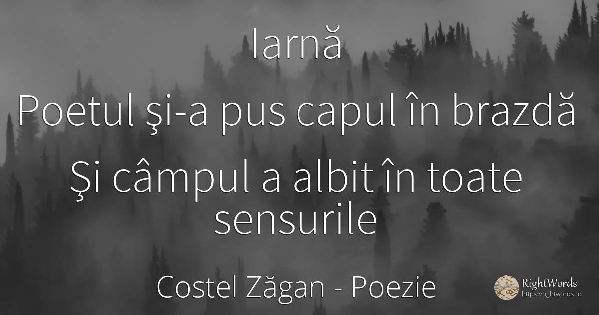 Iarnă: Poetul şi-a pus capul în brazdă - Costel Zăgan, citat despre poezie