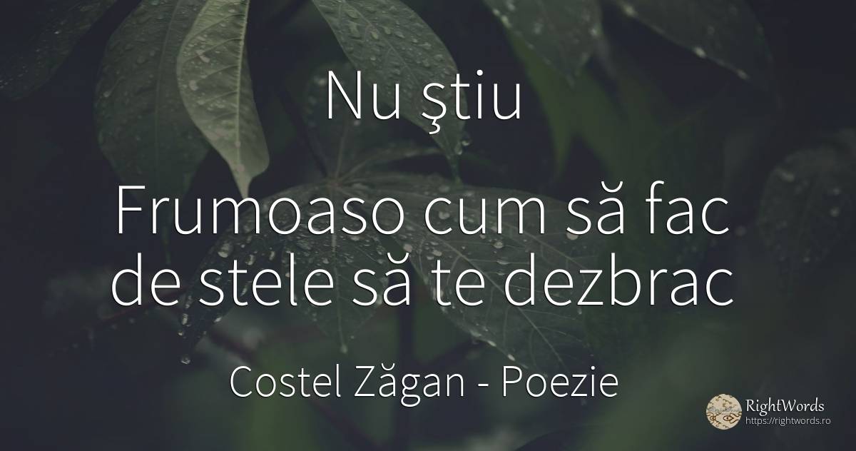 Nu ştiu Frumoaso cum să fac de stele să te dezbrac - Costel Zăgan, citat despre poezie, stele