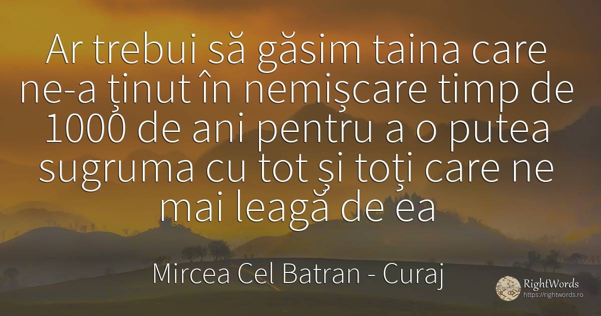 Ar trebui să găsim taina care ne-a ținut în nemișcare... - Mircea Cel Batran, citat despre curaj, timp