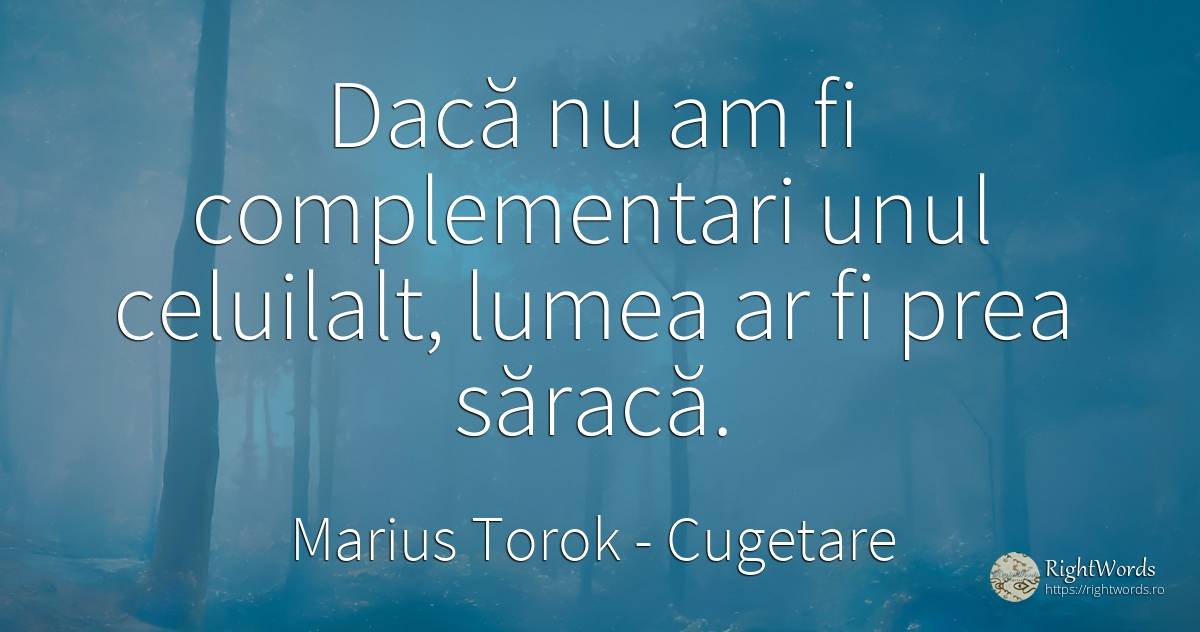 Dacă nu am fi complementari unul celuilalt, lumea ar fi... - Marius Torok (Darius Domcea), citat despre cugetare, sărăcie, lume