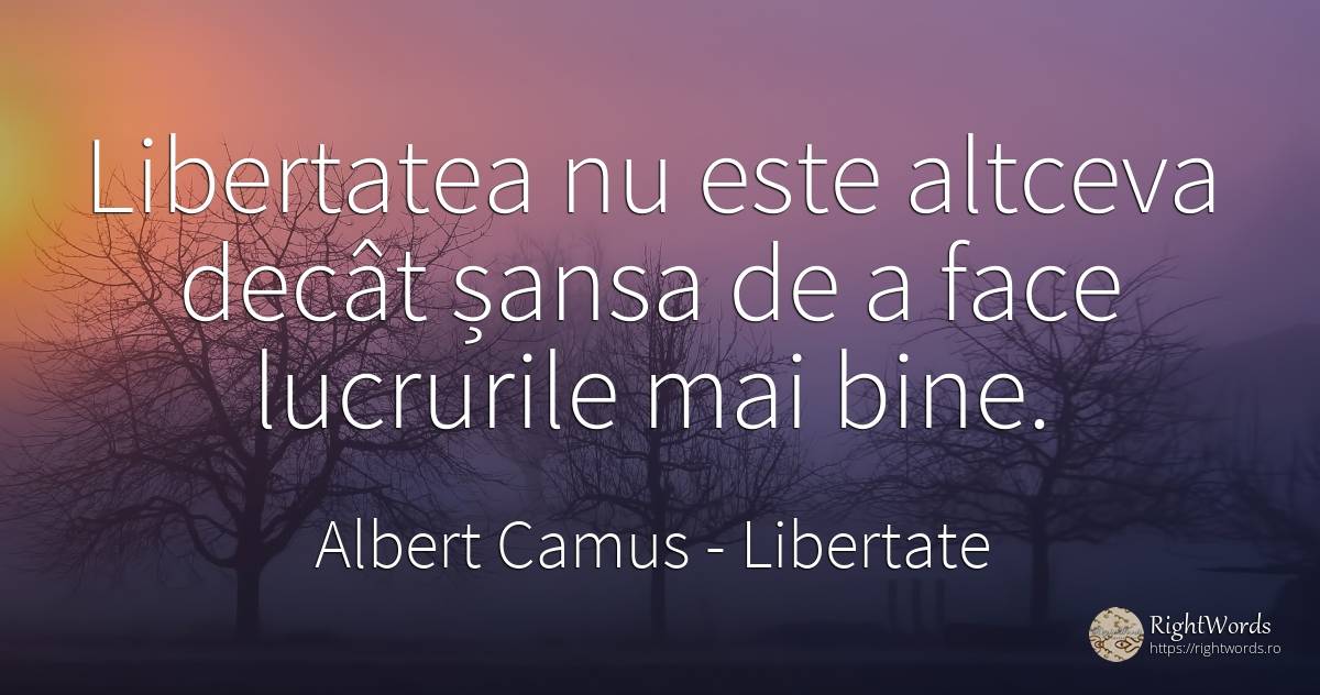 Libertatea nu este altceva decât șansa de a face... - Albert Camus, citat despre libertate, șansă, bine