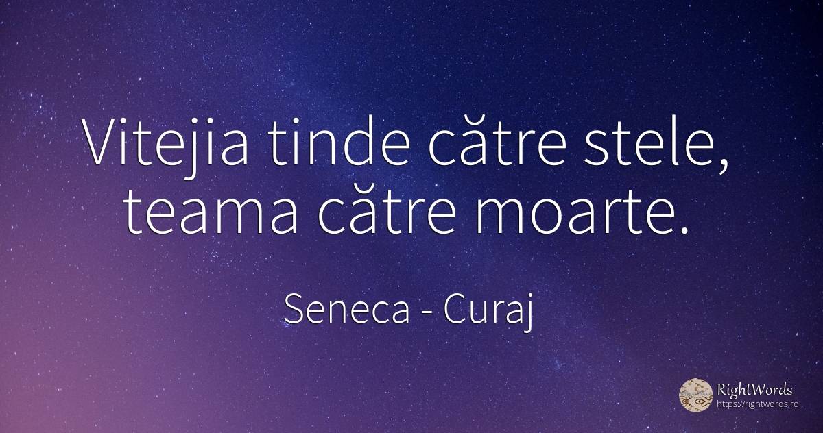 Vitejia tinde către stele, teama către moarte. - Seneca (Seneca The Younger), citat despre curaj, stele, frică, moarte