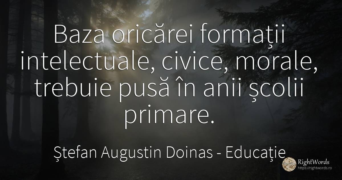 Baza oricărei formații intelectuale, civice, morale, ... - Ștefan Augustin Doinas, citat despre educație