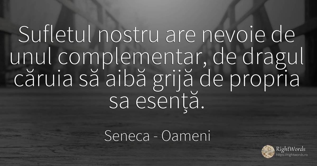 Sufletul nostru are nevoie de unul complementar, de... - Seneca (Seneca The Younger), citat despre oameni, esențial, îngrijorare, nevoie, suflet
