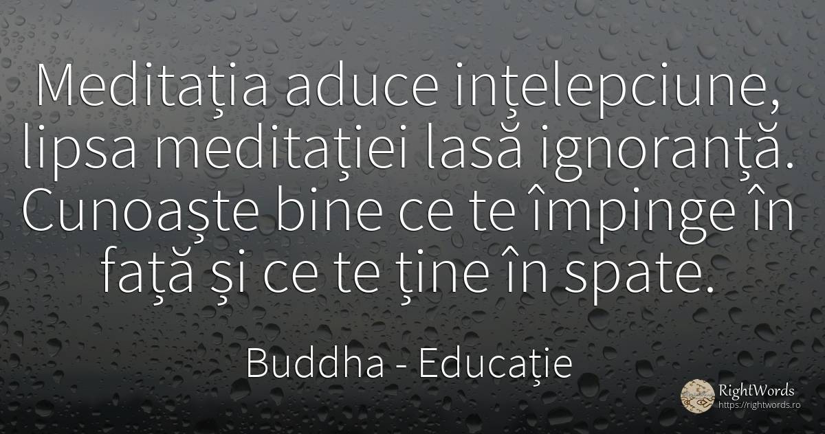 Meditatia aduce intelepciune, lipsa meditatiei lasa... - Buddha (Gautama Siddhartha), citat despre educație, meditație, ignoranță, înțelepciune, față, bine