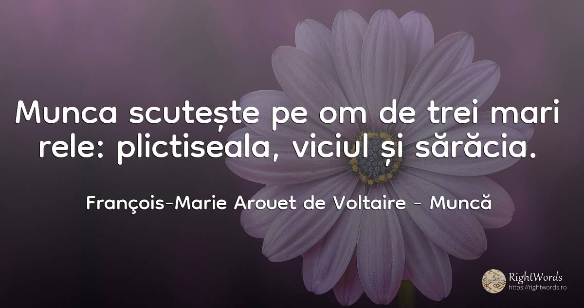 Munca scuteste pe om de trei mari rele: plictiseala, ... - François-Marie Arouet de Voltaire, citat despre muncă, viciu, plictiseală, sărăcie