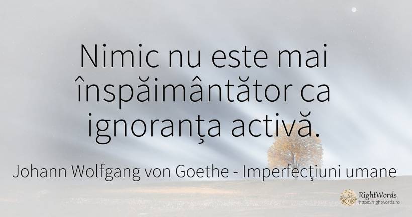 Nimic nu este mai inspaimantator ca ignoranta activa. - Johann Wolfgang von Goethe, citat despre imperfecțiuni umane, ignoranță, nimic