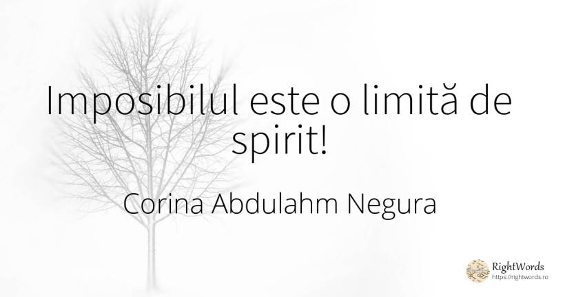 Imposibilul este o limită de spirit! - Corina Abdulahm Negura