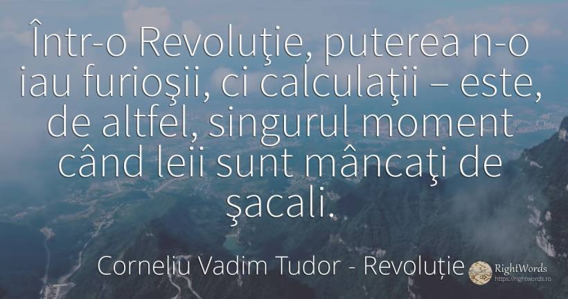 Într-o Revoluţie, puterea n-o iau furioşii, ci calculaţii... - Corneliu Vadim Tudor, citat despre revoluție, putere