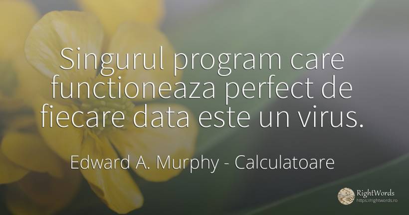 Singurul program care functioneaza perfect de fiecare... - Edward A. Murphy, citat despre calculatoare, perfecţiune