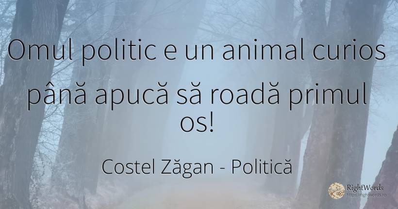 Omul politic e un animal curios până apucă să roadă... - Costel Zăgan, citat despre politică