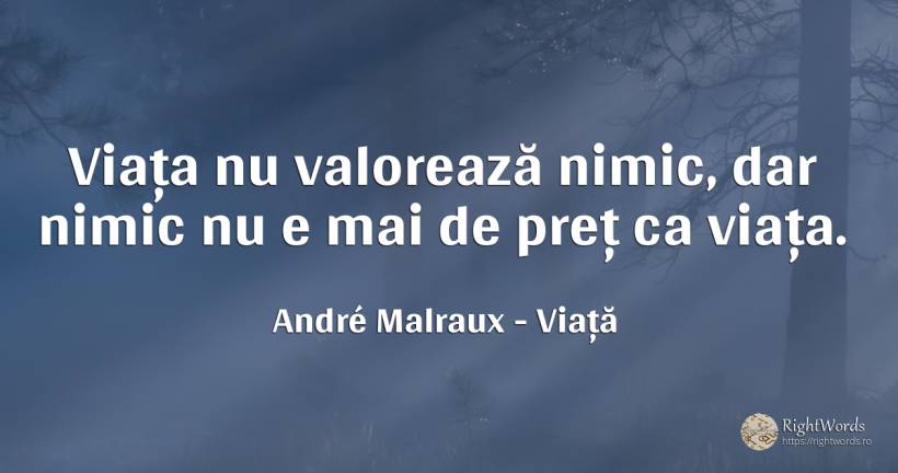 Viața nu valorează nimic, dar nimic nu e mai de preț ca... - André Malraux, citat despre viață, filozofie, nimic