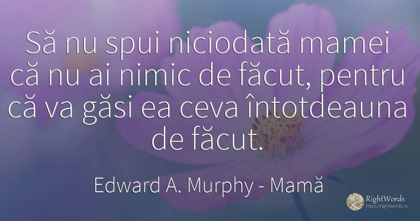 Să nu spui niciodată mamei că nu ai nimic de făcut, ... - Edward A. Murphy, citat despre mamă, nimic