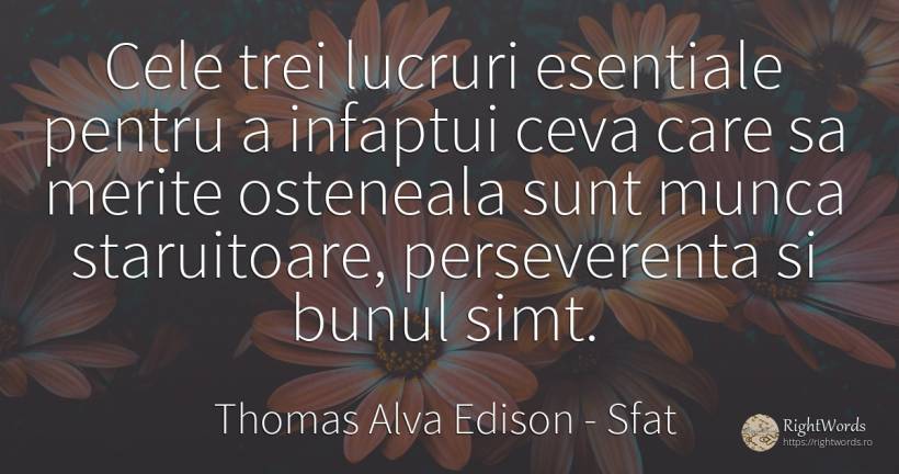 Cele trei lucruri esentiale pentru a infaptui ceva care... - Thomas Alva Edison, citat despre sfat, bunul simț, perseverență, muncă, simț, lucruri