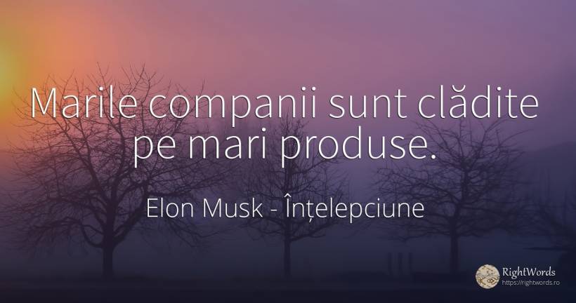 Marile companii sunt clădite pe mari produse. - Elon Musk, citat despre înțelepciune, companii