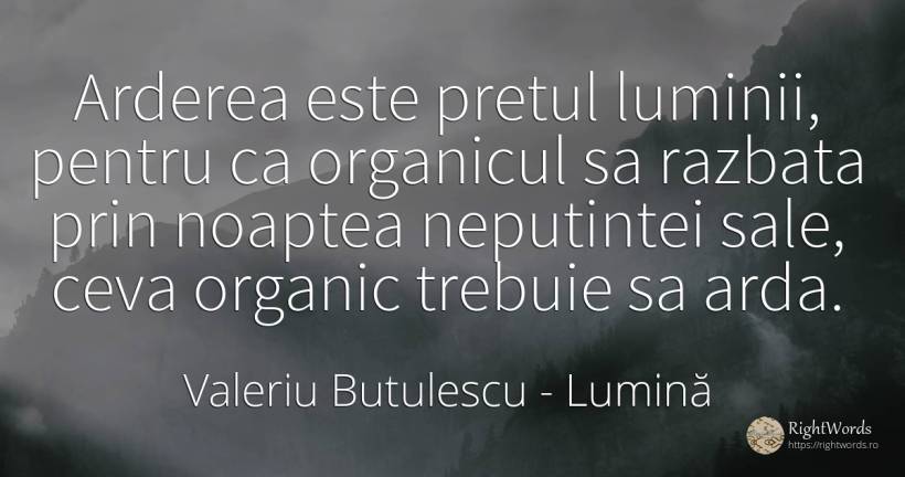 Arderea este pretul luminii, pentru ca organicul sa... - Valeriu Butulescu, citat despre lumină, noapte