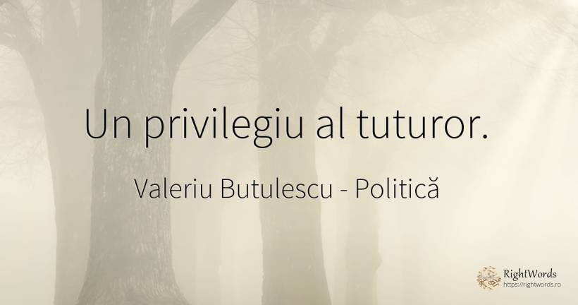 Un privilegiu al tuturor. - Valeriu Butulescu, citat despre politică