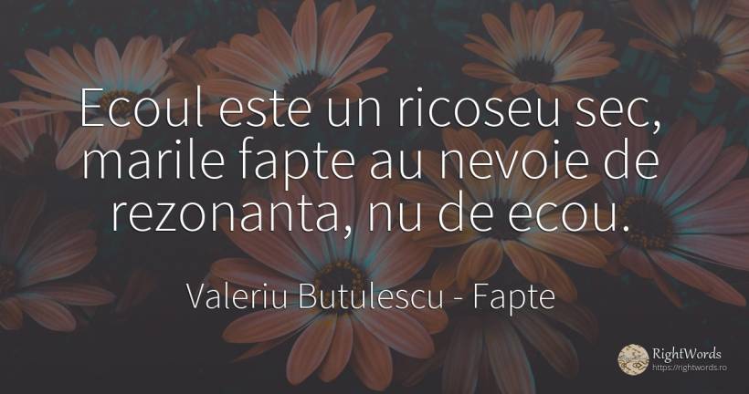 Ecoul este un ricoseu sec, marile fapte au nevoie de... - Valeriu Butulescu, citat despre fapte, nevoie