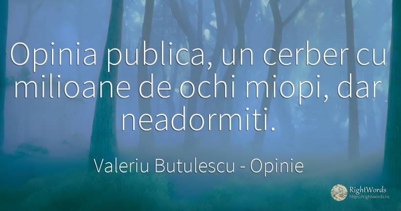 Opinia publica, un cerber cu milioane de ochi miopi, dar... - Valeriu Butulescu, citat despre opinie, ochi