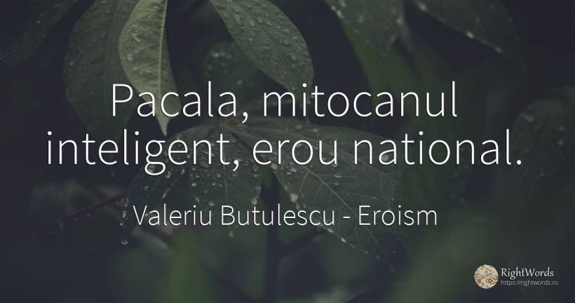 Pacala, mitocanul inteligent, erou national. - Valeriu Butulescu, citat despre eroism, inteligență