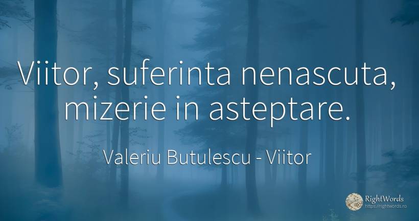 Viitor, suferinta nenascuta, mizerie in asteptare. - Valeriu Butulescu, citat despre viitor, așteptare, suferință