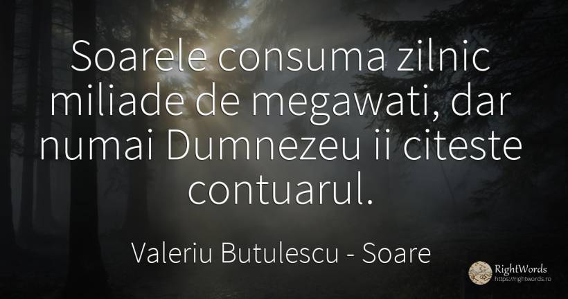 Soarele consuma zilnic miliade de megawati, dar numai... - Valeriu Butulescu, citat despre soare, dumnezeu