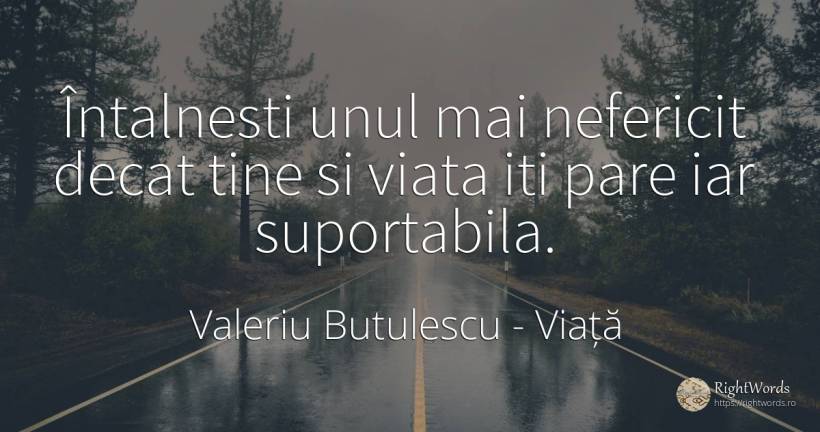 Întalnesti unul mai nefericit decat tine si viata iti... - Valeriu Butulescu, citat despre viață, nefericire