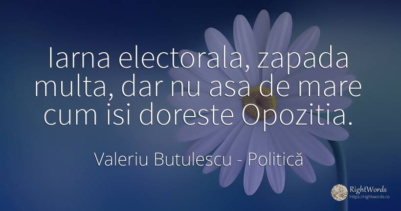 Iarna electorala, zapada multa, dar nu asa de mare cum... - Valeriu Butulescu, citat despre politică