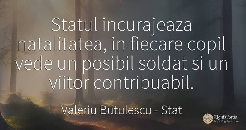Statul incurajeaza natalitatea, in fiecare copil vede un... - Valeriu Butulescu, citat despre stat, încurajare, posibilitate, viitor, copii