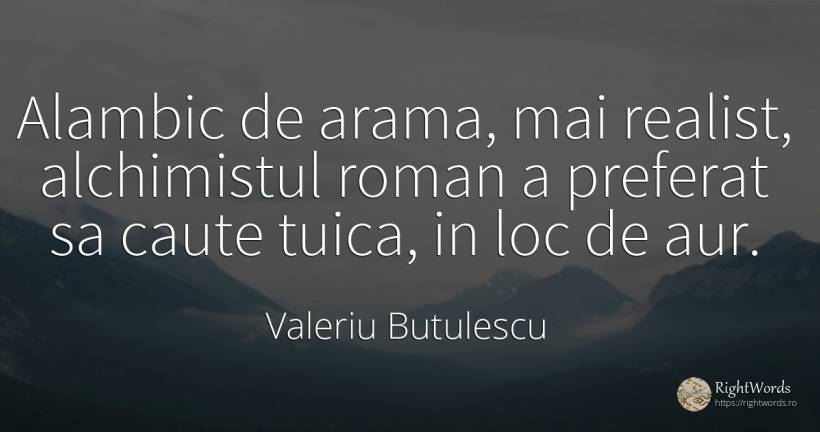 Alambic de arama, mai realist, alchimistul roman a... - Valeriu Butulescu
