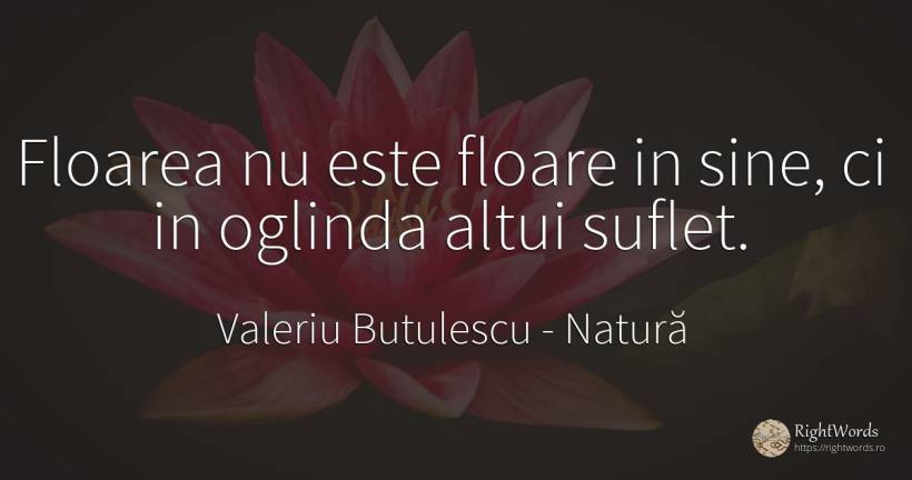 Floarea nu este floare in sine, ci in oglinda altui suflet. - Valeriu Butulescu, citat despre natură, suflet