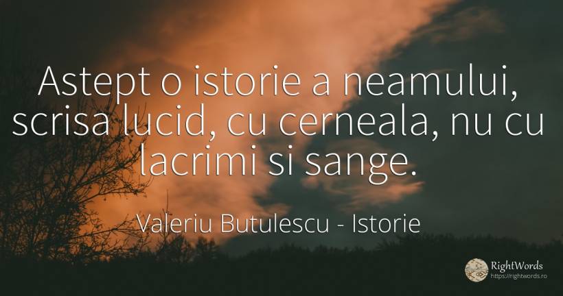 Astept o istorie a neamului, scrisa lucid, cu cerneala, ... - Valeriu Butulescu, citat despre istorie, luciditate, sânge, lacrimi
