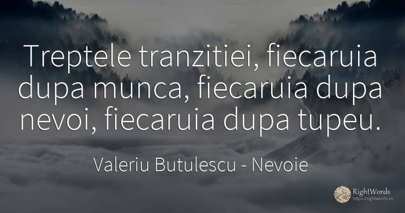 Treptele tranzitiei, fiecaruia dupa munca, fiecaruia dupa... - Valeriu Butulescu, citat despre nevoie, muncă