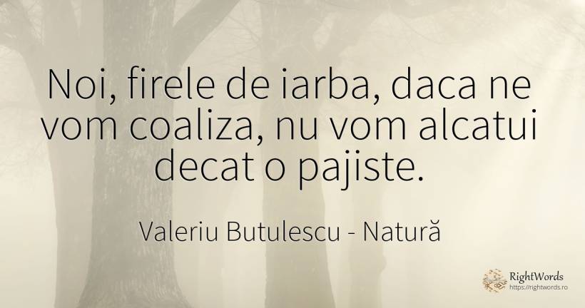 Noi, firele de iarba, daca ne vom coaliza, nu vom alcatui... - Valeriu Butulescu, citat despre natură