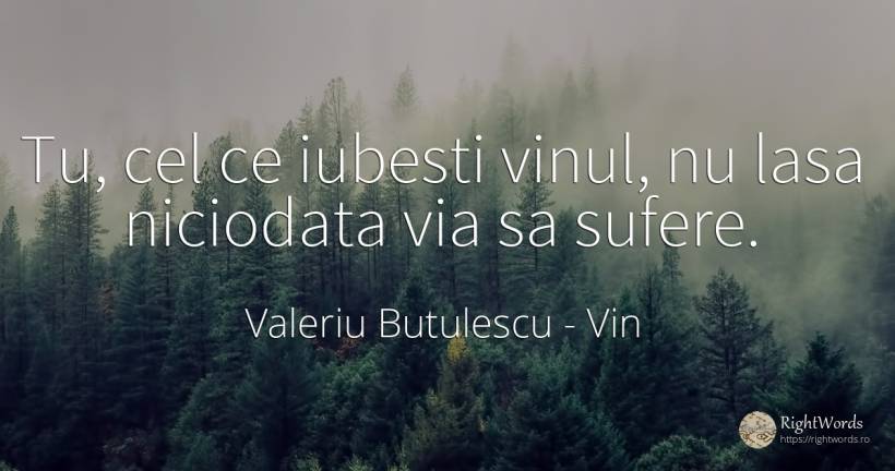 Tu, cel ce iubesti vinul, nu lasa niciodata via sa sufere. - Valeriu Butulescu, citat despre vin, bucurie, iubire