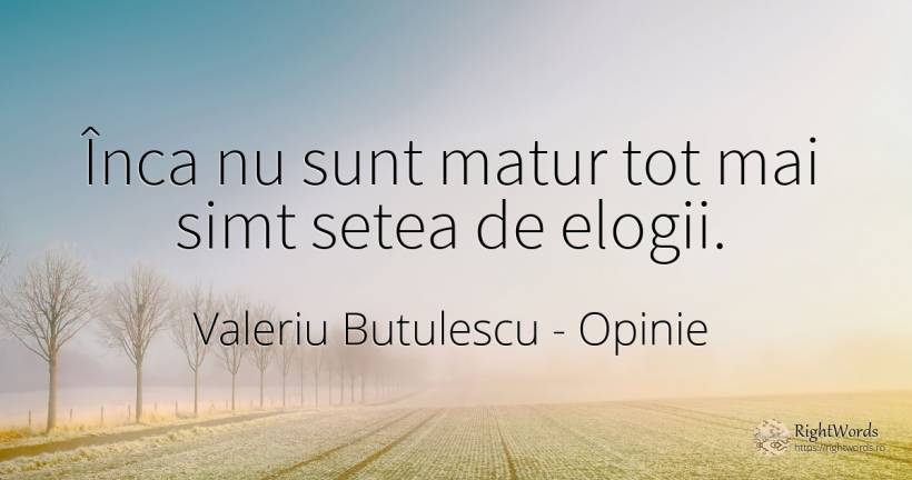 Înca nu sunt matur tot mai simt setea de elogii. - Valeriu Butulescu, citat despre opinie, bucurie, bunul simț, simț