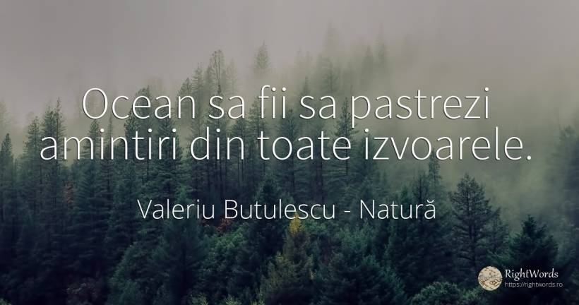 Ocean sa fii sa pastrezi amintiri din toate izvoarele. - Valeriu Butulescu, citat despre natură, toamnă, rai