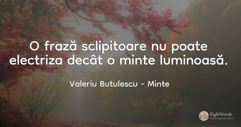 O frază sclipitoare nu poate electriza decât o minte... - Valeriu Butulescu, citat despre minte, toamnă, rai