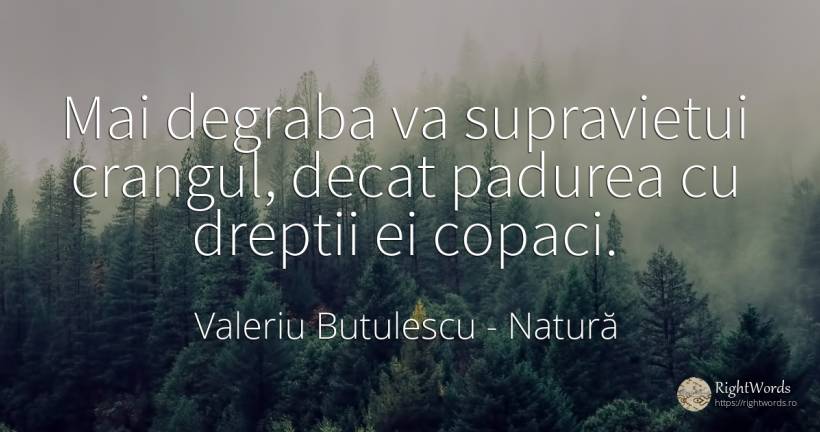 Mai degraba va supravietui crangul, decat padurea cu... - Valeriu Butulescu, citat despre natură, supraviețuire